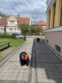 Pojďte ven!